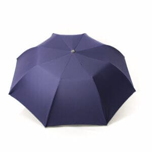 Parapluie pliant homme bleu marine